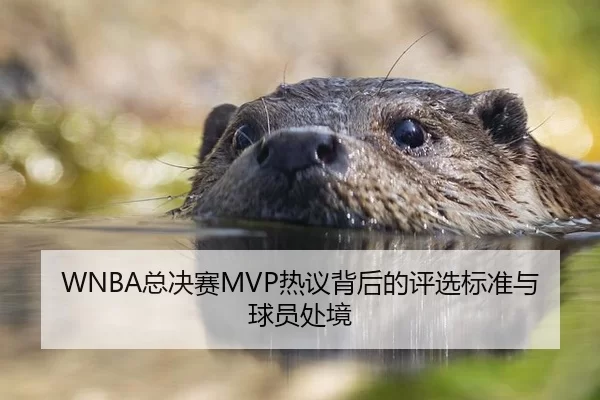 WNBA总决赛MVP热议背后的评选标准与球员处境